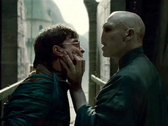 Harry Potter y Voldemort en Harru Potter y las Reliquias de la muerte: Parte 2
